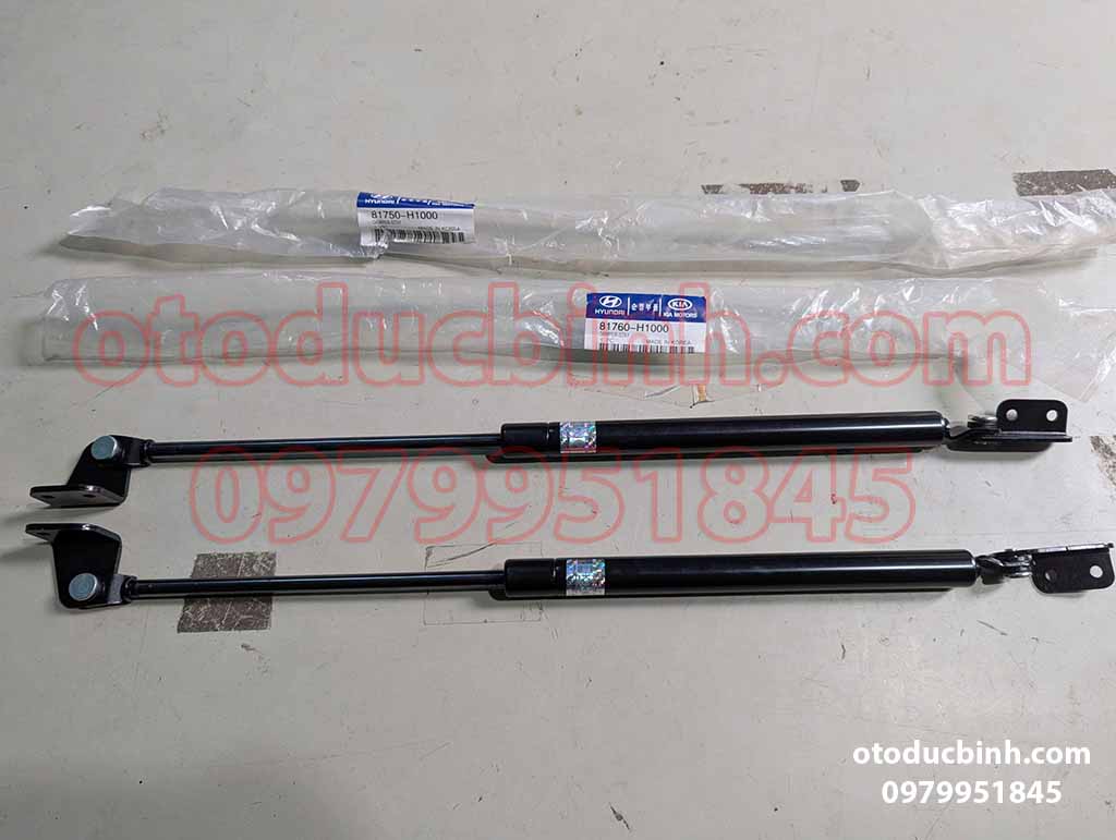 Đôi ty chống cốp sau Hyundai Terracan