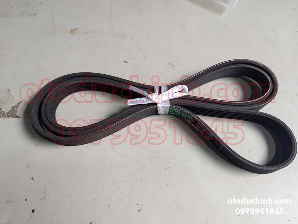 Dây curoa máy phát hay dây curoa tổng Ford Escape 2.0 2001-2004