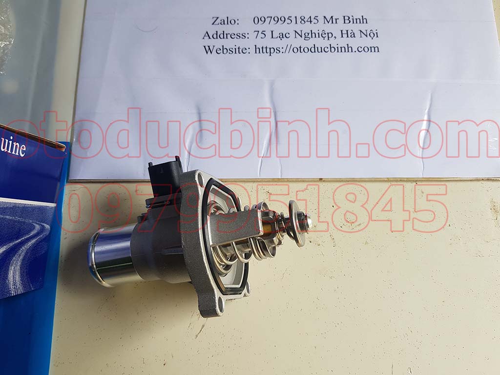 Van hằng nhiệt Lacetti CDX nhập