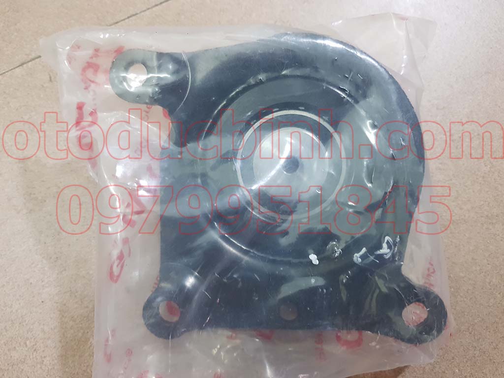 Bạc đạn sau ly tâm Ford Transit 2003-2011 19A216BA