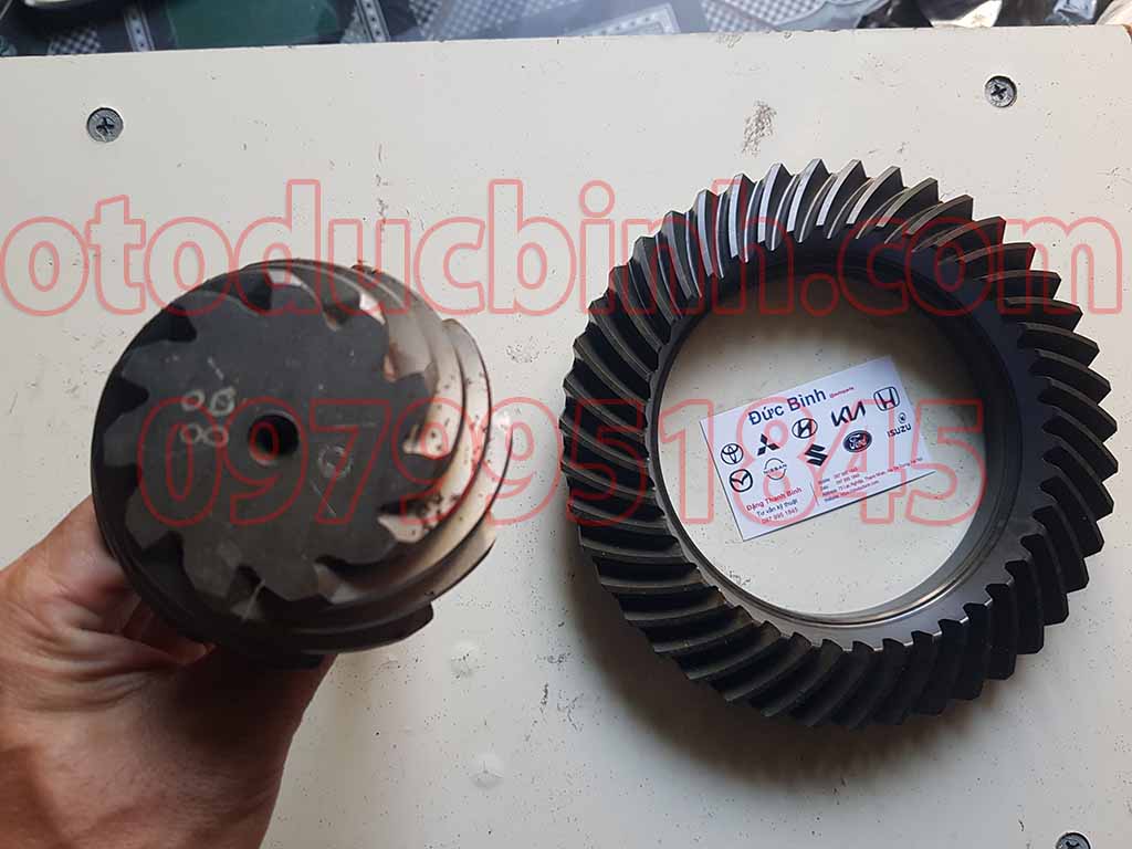 Vành chậu quả dứa K250, Bongo 3