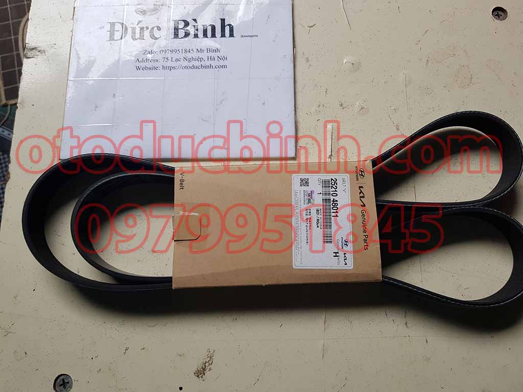 Dây curoa máy phát Hyundai HD65, HD72, HD75, MIGHTY 2