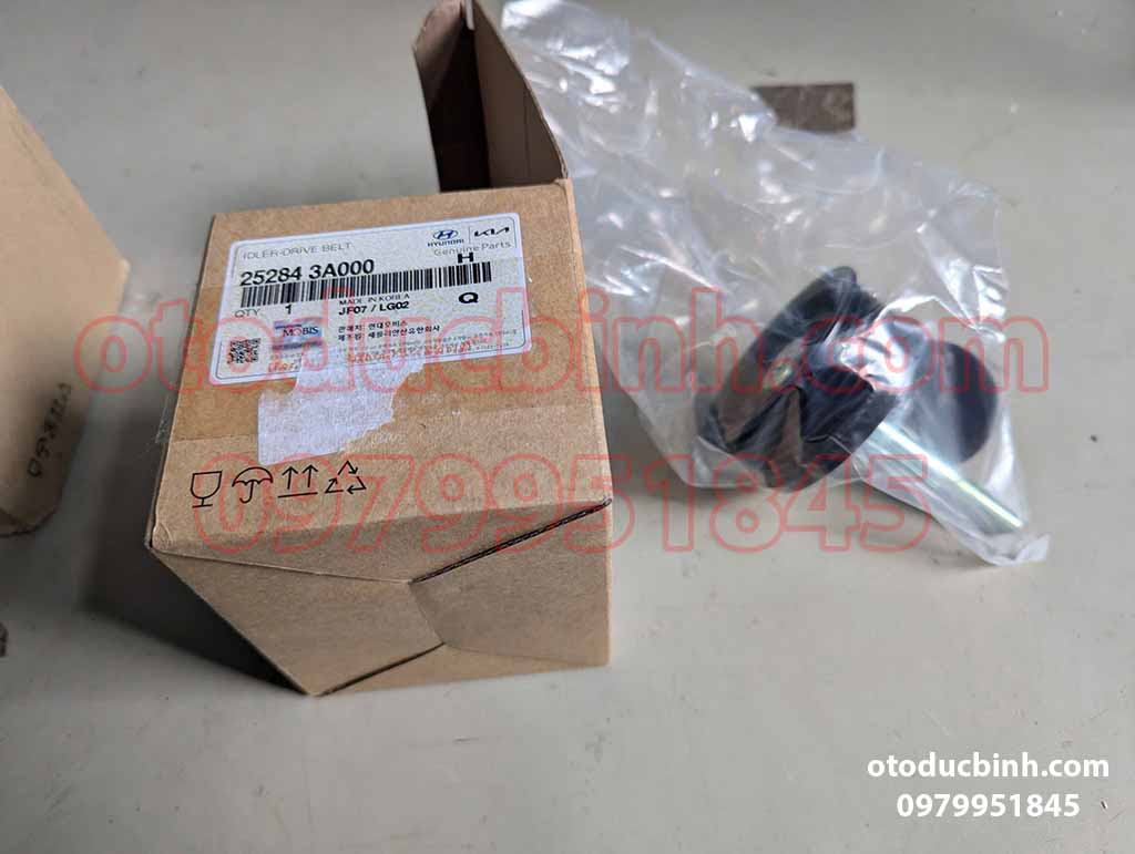 Bi tì dây curoa Hyundai Veracruz 3.0 D6EA