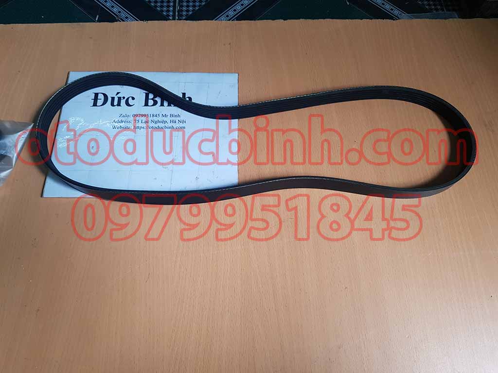 Dây curoa máy phát, dây curoa tổng Toyota Wigo