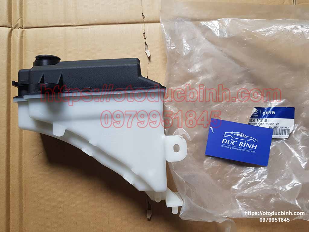 Bình nước phụ Hyundai Getz 254301C000