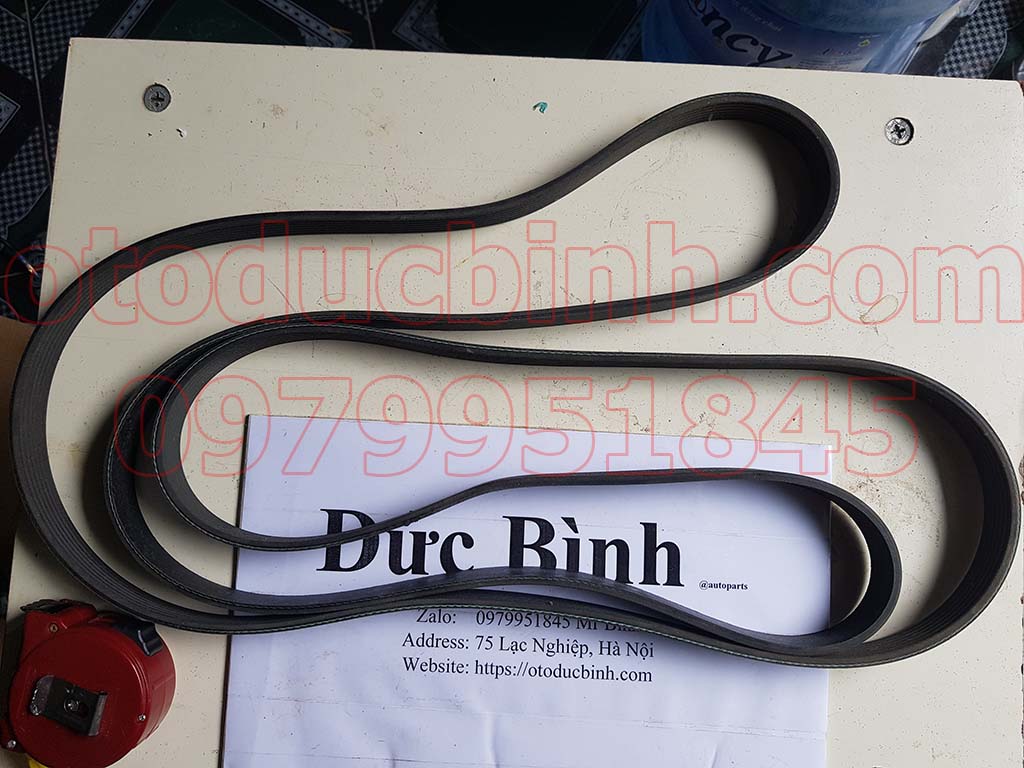 Dây curoa máy phát tổng Ford Transit 2.4