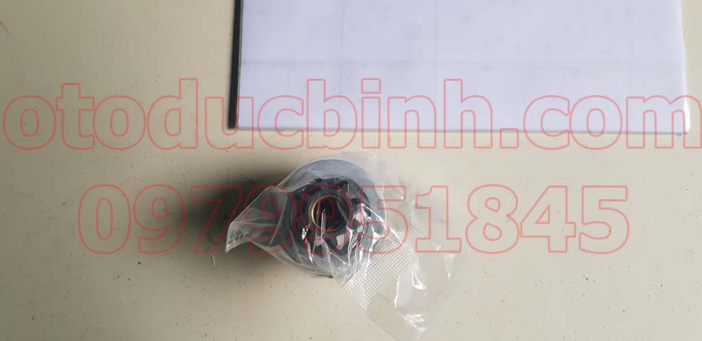 Măng ních đề Kia Forte (8 răng)