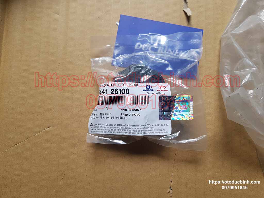 Nắp bình nước phụ Hyundai i10, Getz, Kia Morning