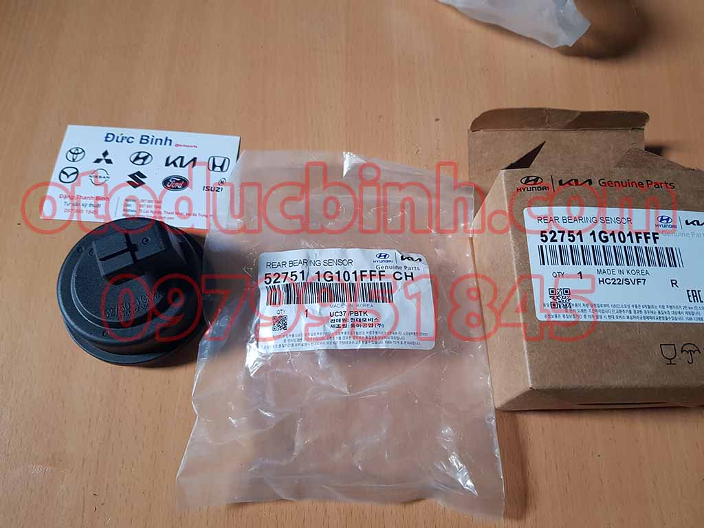 Nắp chụp moay o bánh sau Hyundai i10