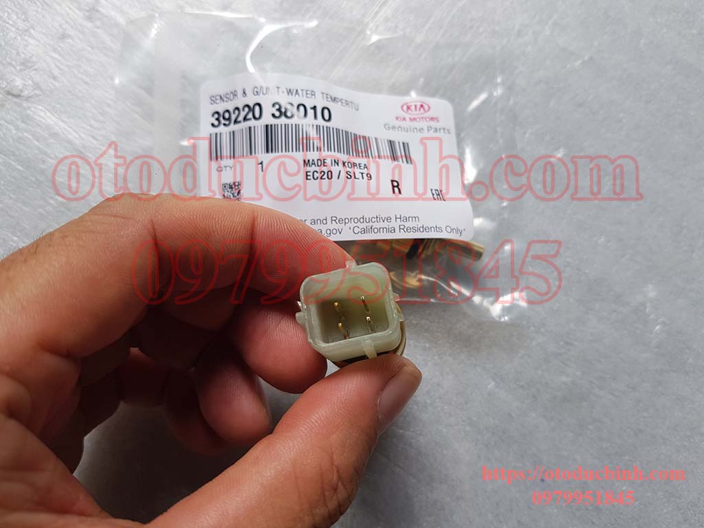 Cảm biến nhiệt độ Hyundai Getz, Kia Morning 2008-2011 3922038010