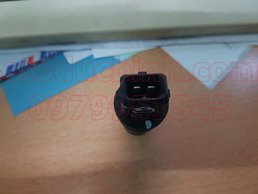 Cảm biến nhiệt độ ống hút gió Chevrolet Captiva 96508200