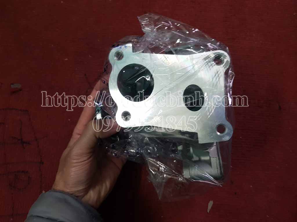 Bơm nước Hyundai Porter 2, Starex 2510042540