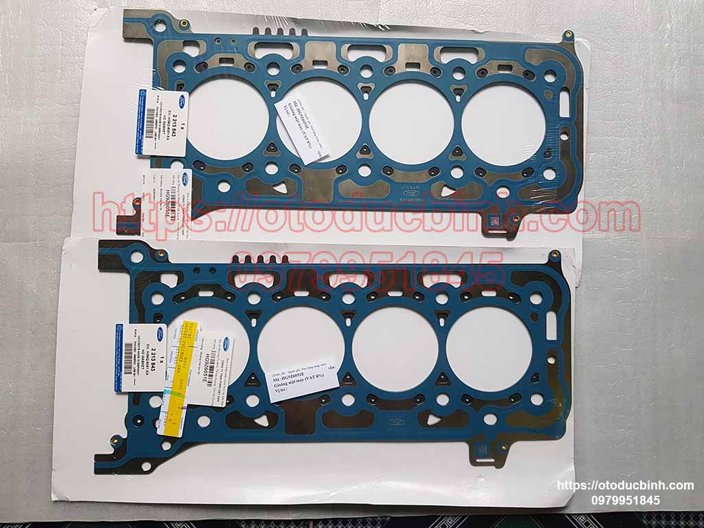 Gioăng mặt máy Ford Transit HG9Z6051E