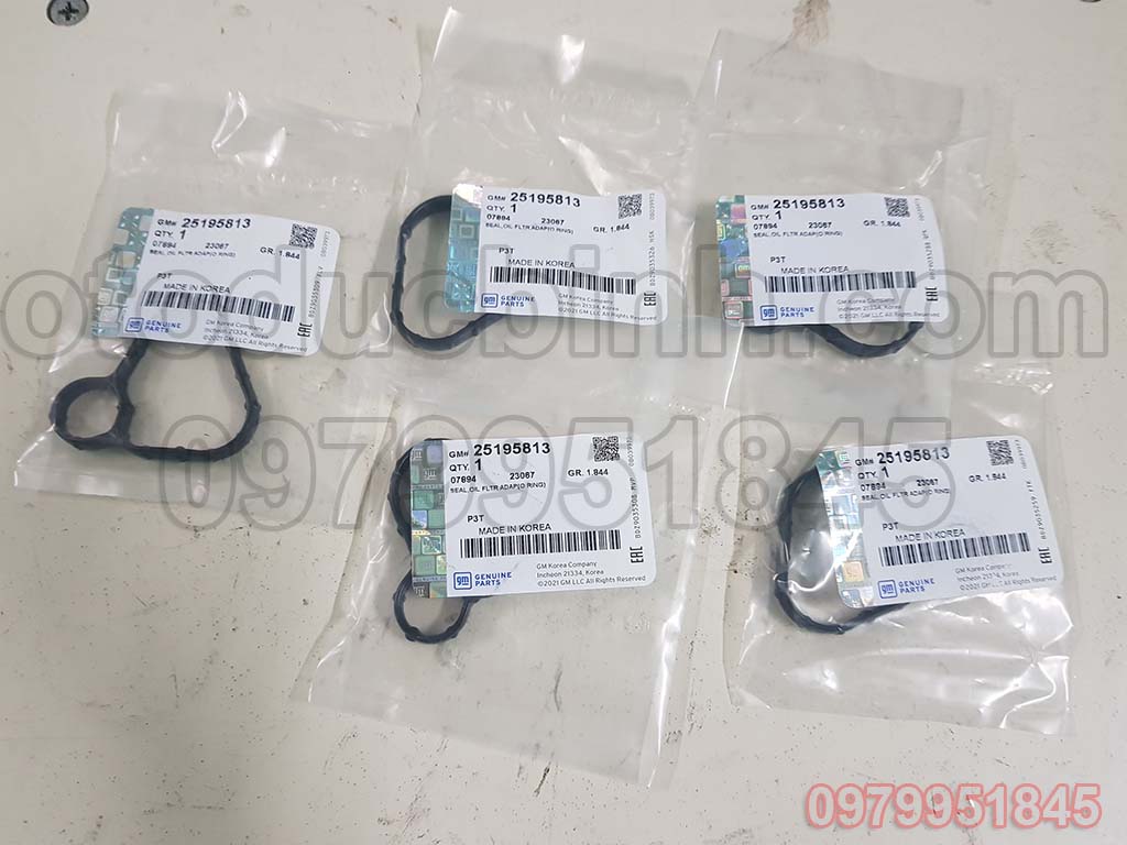 Bộ gioăng két sinh hàn Chevrolet Cruze 1.8 25195802