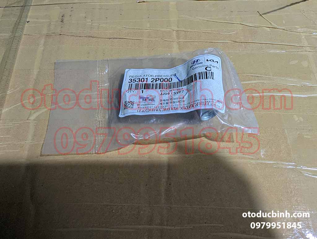 Van điều áp Xăng Hyundai i10, Accent