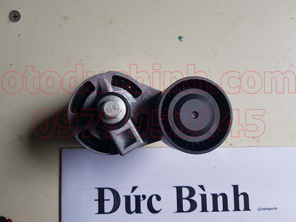 Cụm bi tăng tổng Ford Transit 2.4
